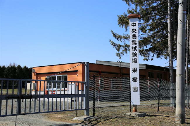 北海道 中央農業試験場 果樹園(北海道長沼町)