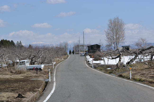 発芽前のりんご園地での作業