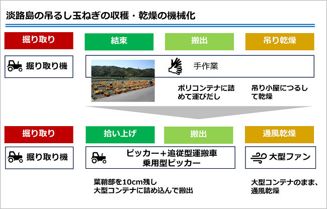 淡路島の吊るし玉ねぎの収穫・乾燥の機械化