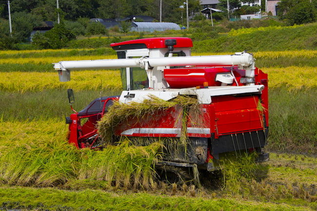 刈取った稲の穂先だけを脱穀機に通す自脱型コンバイン