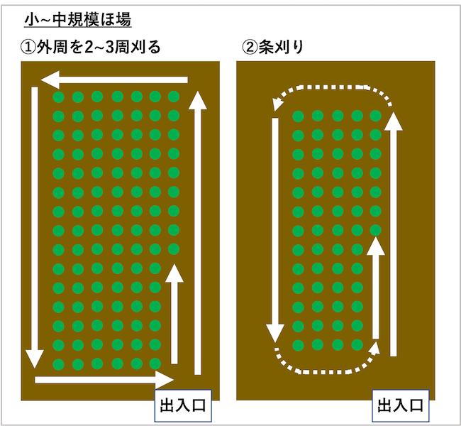 コンバイン 収穫 条刈り