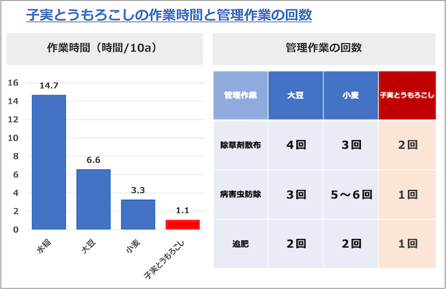 子実とうもろこしの作業時間と管理作業の回数
