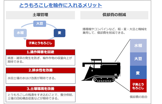 子実とうもろこしを輪作体系に入れるメリット