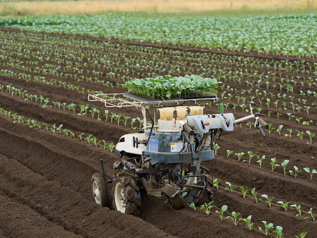 歩行型のブロッコリー移植機
