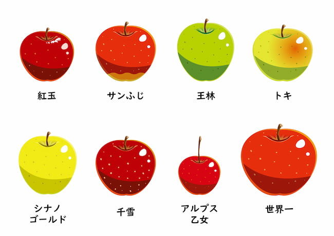 りんごの品種 いろいろ