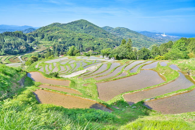 「デジ活」中山間地域の登録地域の1つ、島根県浜田市。同市は取り組みに耕作放棄地発生防止も挙げている。
