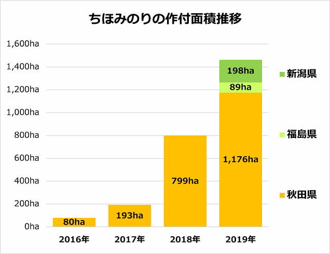ちほみのりの作付面積推移