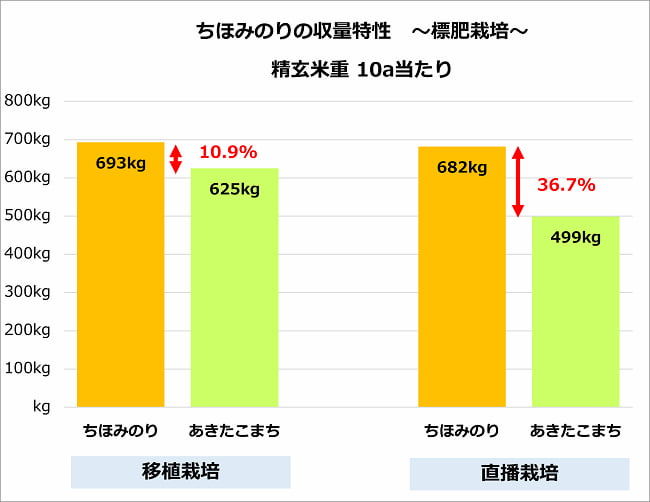 水稲品種「ちほみのり」の収量特性 標肥栽培の場合