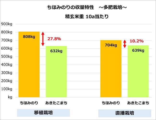 水稲品種「ちほみのり」の収量特性 多肥栽培の場合