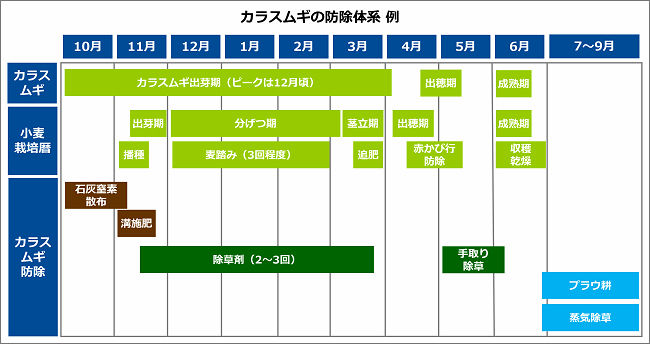 小麦の栽培暦とカラスムギの防除暦