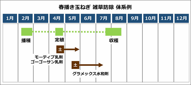 春播き玉ねぎの雑草防除 体系例