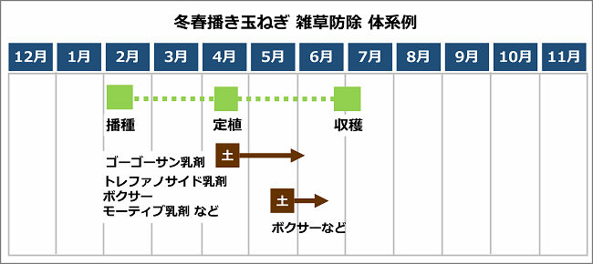 冬春播き玉ねぎの雑草防除 体系例