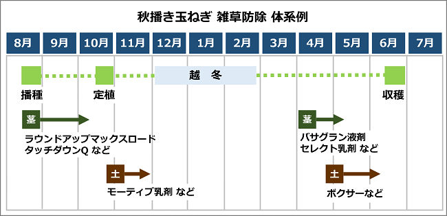 秋播き玉ねぎ 雑草防除 体系例
