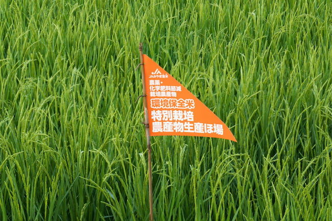 登米市の環境保全米特別栽培農産物生産ほ場