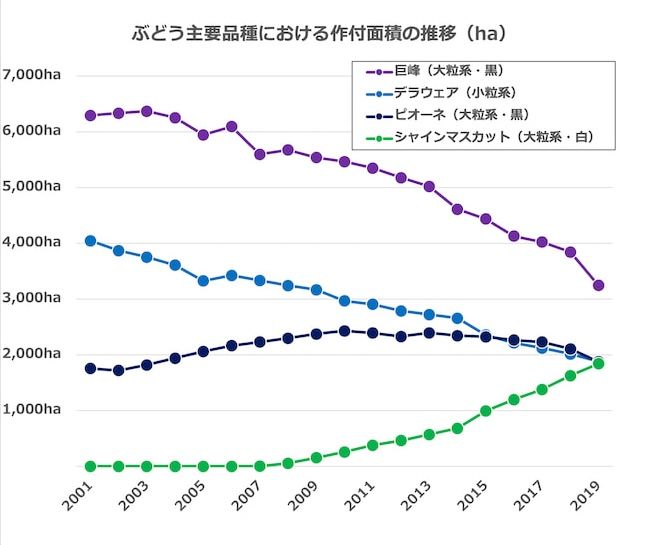 ぶどう 品種 作付面積