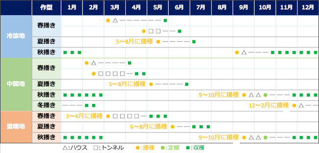 春菊の栽培暦