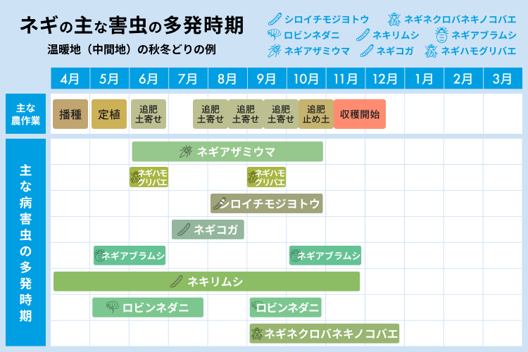 ネギの主な害虫の多発時期