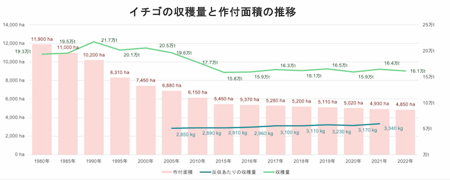 イチゴの収穫量と作付面積の推移