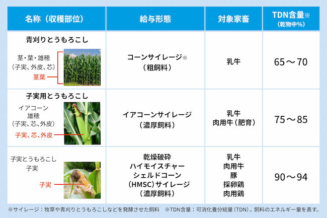飼料用とうもろこしの分類