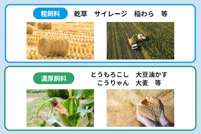 粗飼料と濃厚飼料