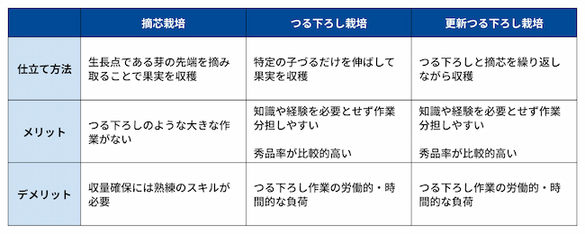 きゅうりの仕立て方は主に3種類