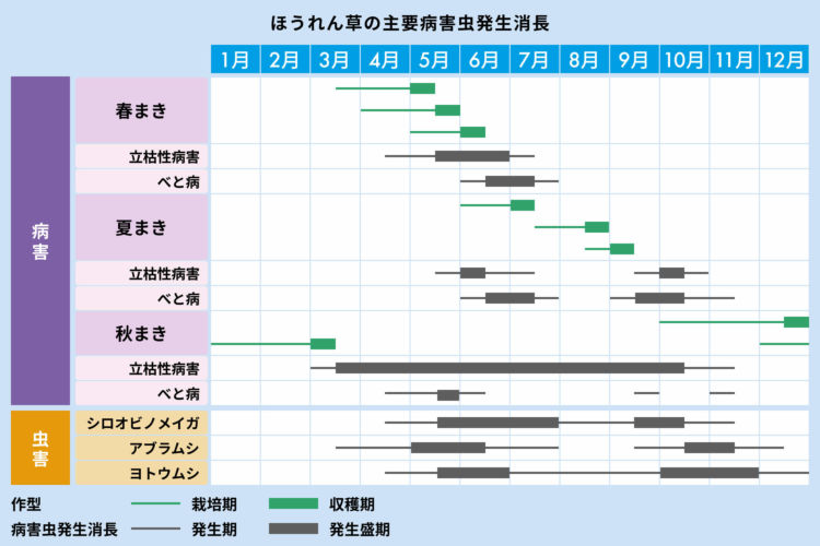 ほうれん草の主要病害虫発生消長
